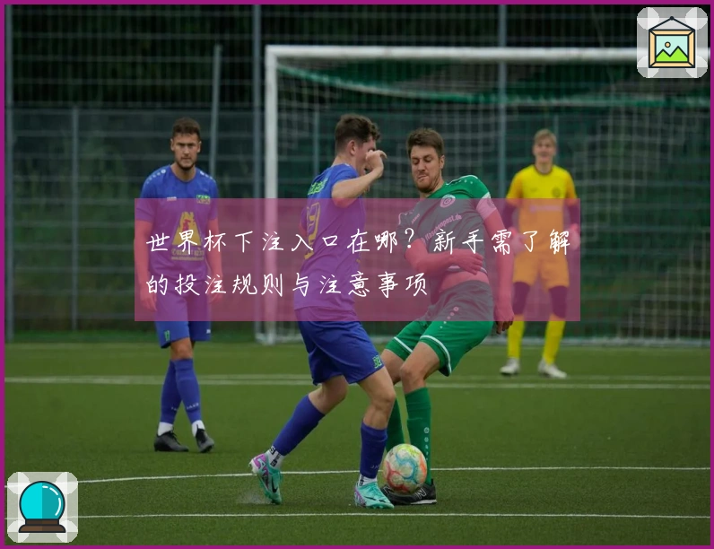 世界杯下注入口在哪？新手需了解的投注规则与注意事项